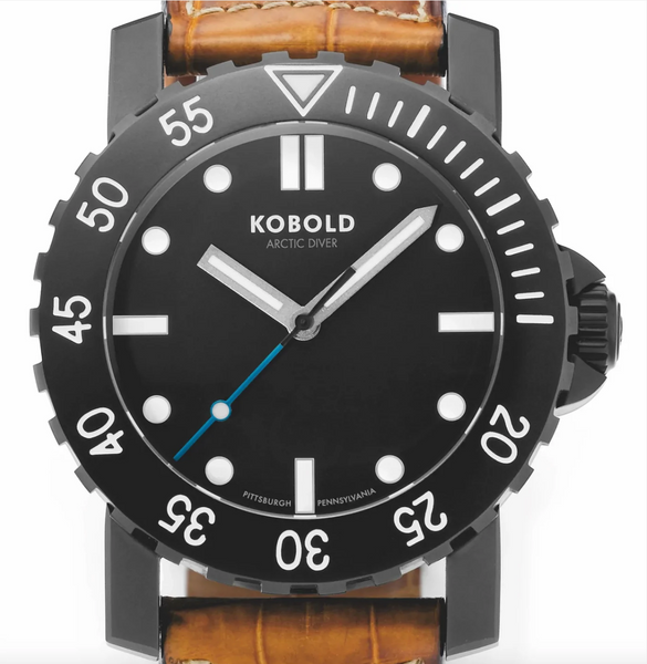 Arctic Diver